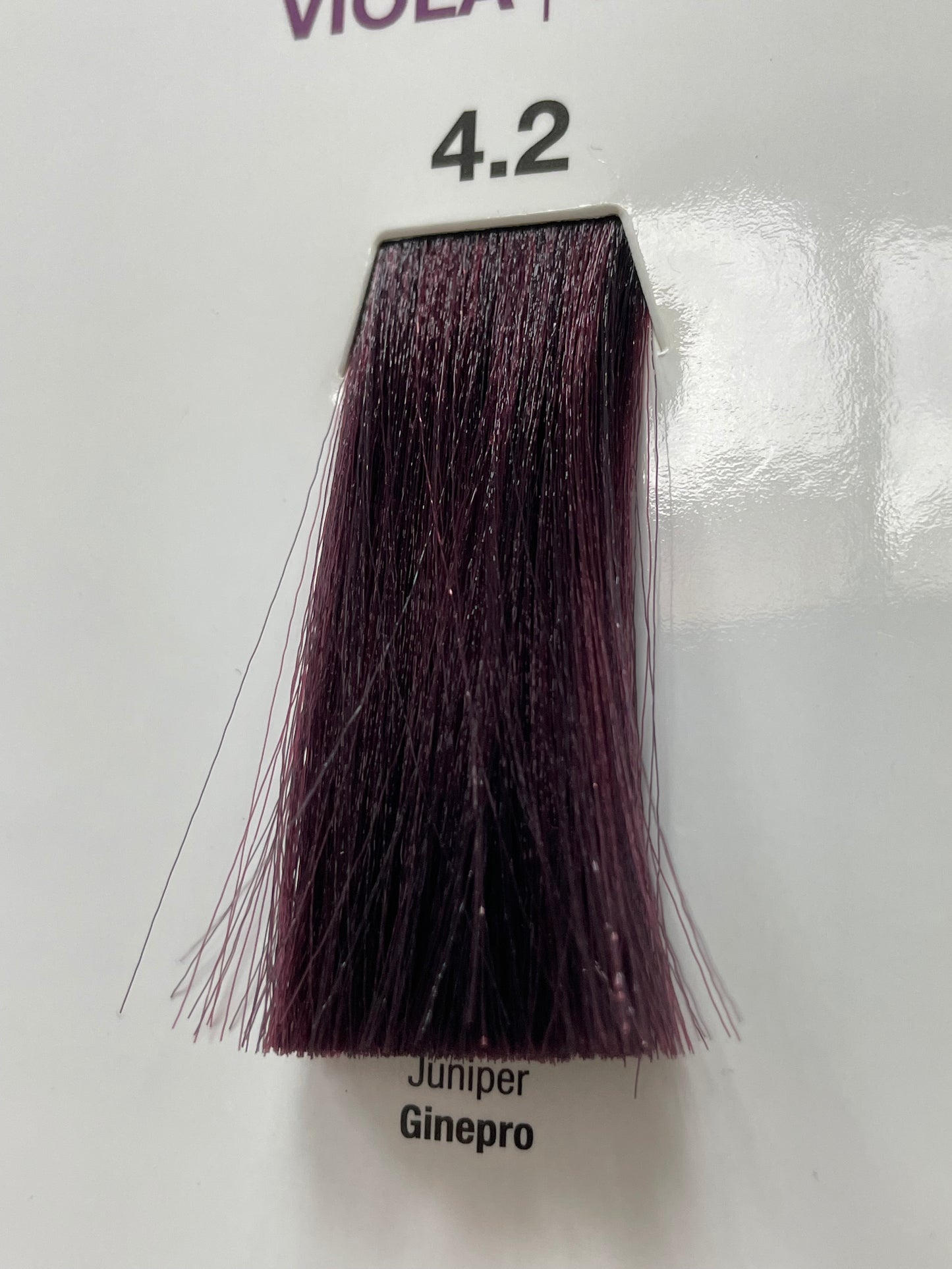 Colorazione Per Capelli Tono Su tono Ekre - VIOLA